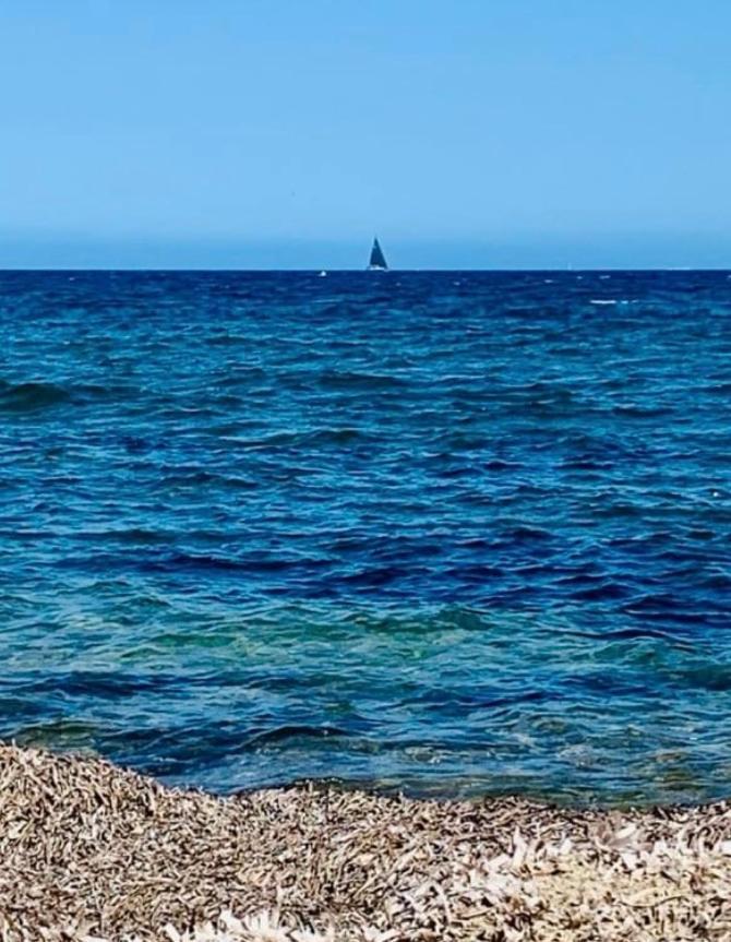 Le Latania Apartman Sainte-Maxime Kültér fotó